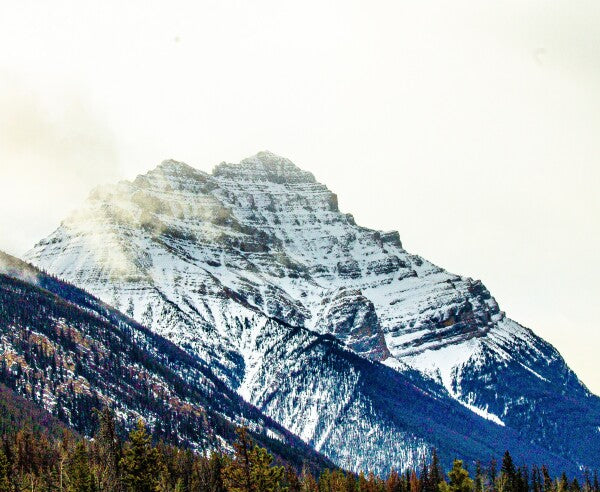 Frozen Ascension